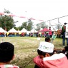 IF8A1211
